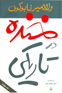 کتاب خنده در تاریکی