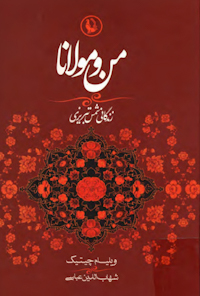 کتاب من و مولانا