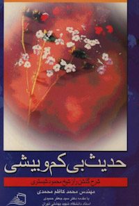 حدیث بی کم و بیش در شهر گلشن راز