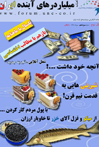 ماهنامه میلیاردر های آینده ایران – شماره 13