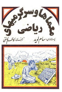 کتاب معماها و سرگرمیهای ریاضی