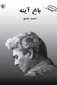 کتاب باغ آینه