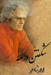 کتاب شکفتن در مه