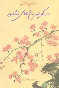کتاب در کوچه باغ‌های نشابور